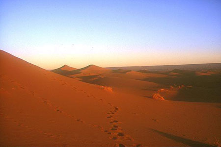 Chegaga sand dunes and desert